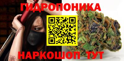 трава Лесосибирск