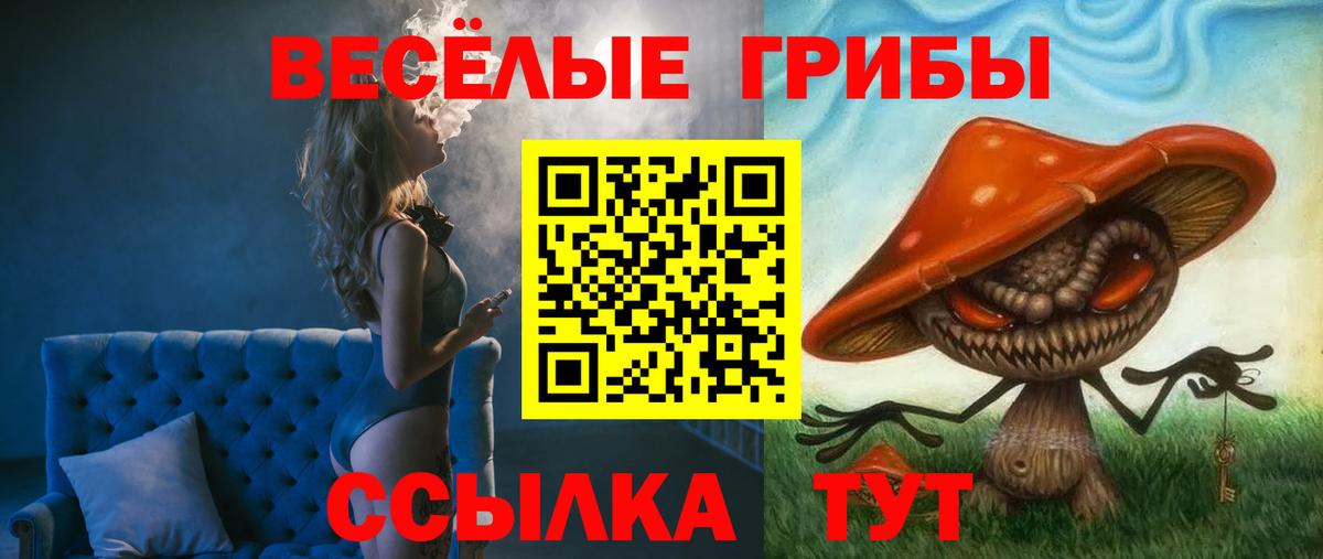 Галлюциногенные грибы Cubensis  Вход с VPN  Зима 